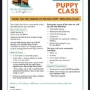 Puppy Class Starting 4/29/25