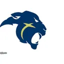 SJPII School Student-Athlete Fees 