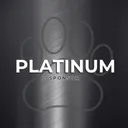 Platinum Sponsor