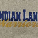 Hoodie - Gray w/ Blue & Gold Logo
