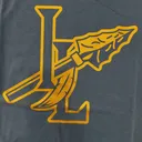 T-Shirt - Blue w/ Gold Logo