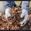 Mulch