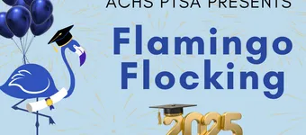 Flamingo Flocking banner
