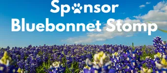 Sponsor Bluebonnet Stomp banner