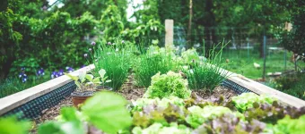 Spring Garden Inspiration Open House - April 23, 2025 banner