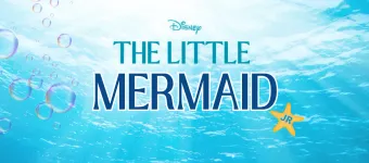 Little Mermaid Volunteer Sign Ups banner