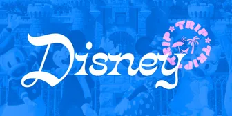 Choir Trip to Disney banner