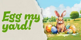 Egg My Yard banner