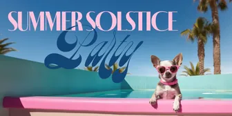 Summer Solstice Party banner