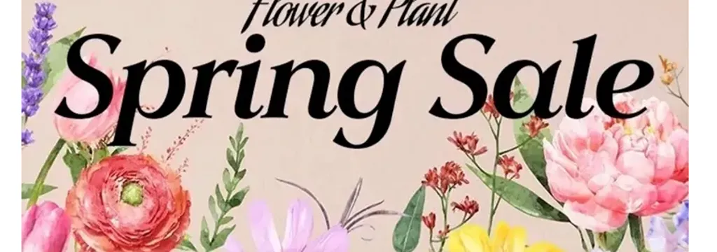 2025 TMS Spring Plant Sale - Cheddar Up