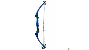 Bows / Arcos