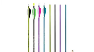 5 dozen arrows / 5 docenas de flechas