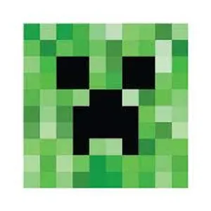 Minecraft (Jun 9-12, 9A-12P)