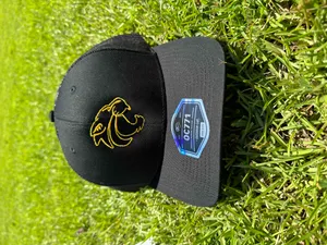 Powercat Hat