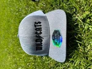 Wild⚡️Cats Hat