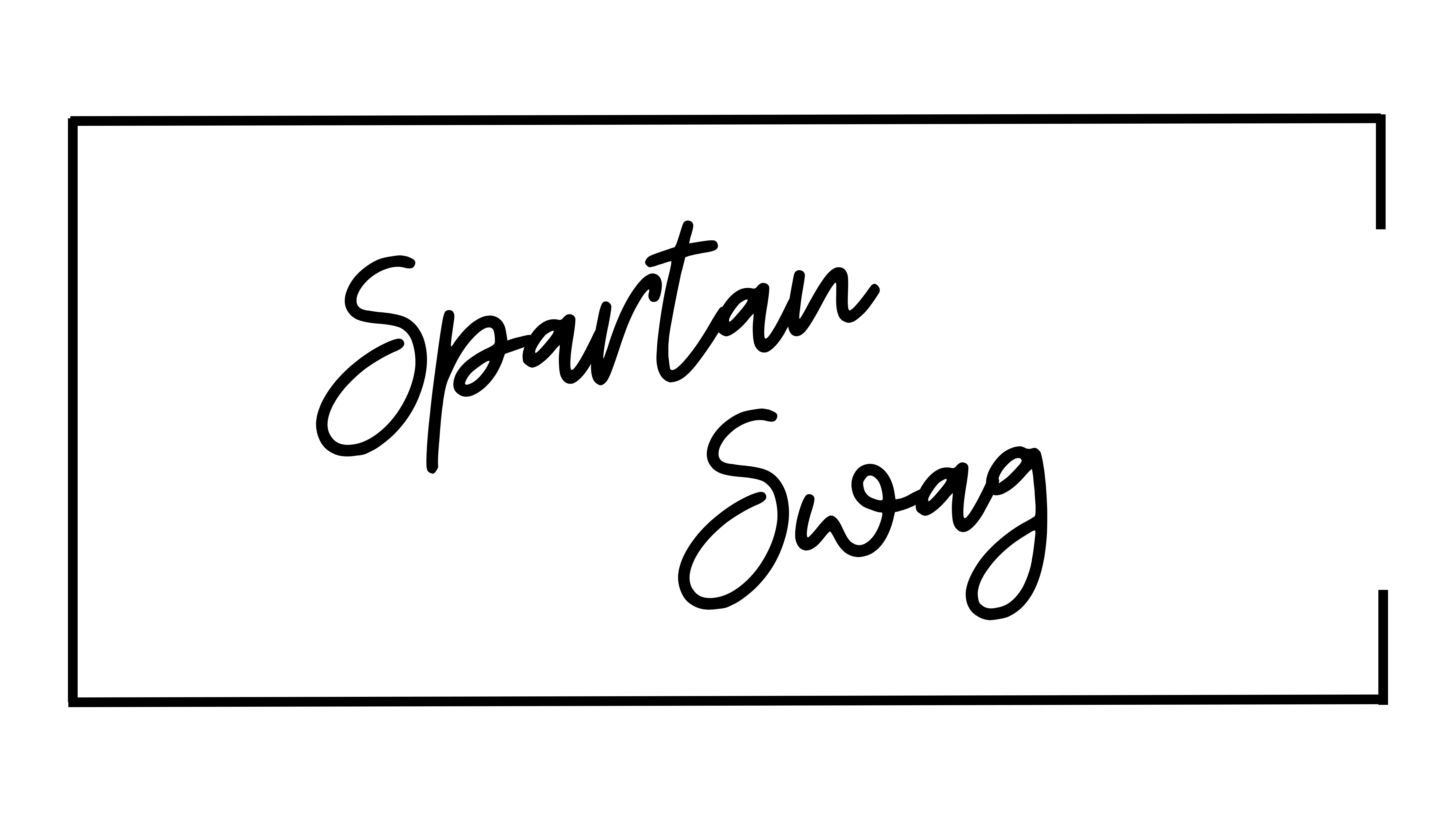 STS Spirit Wear banner