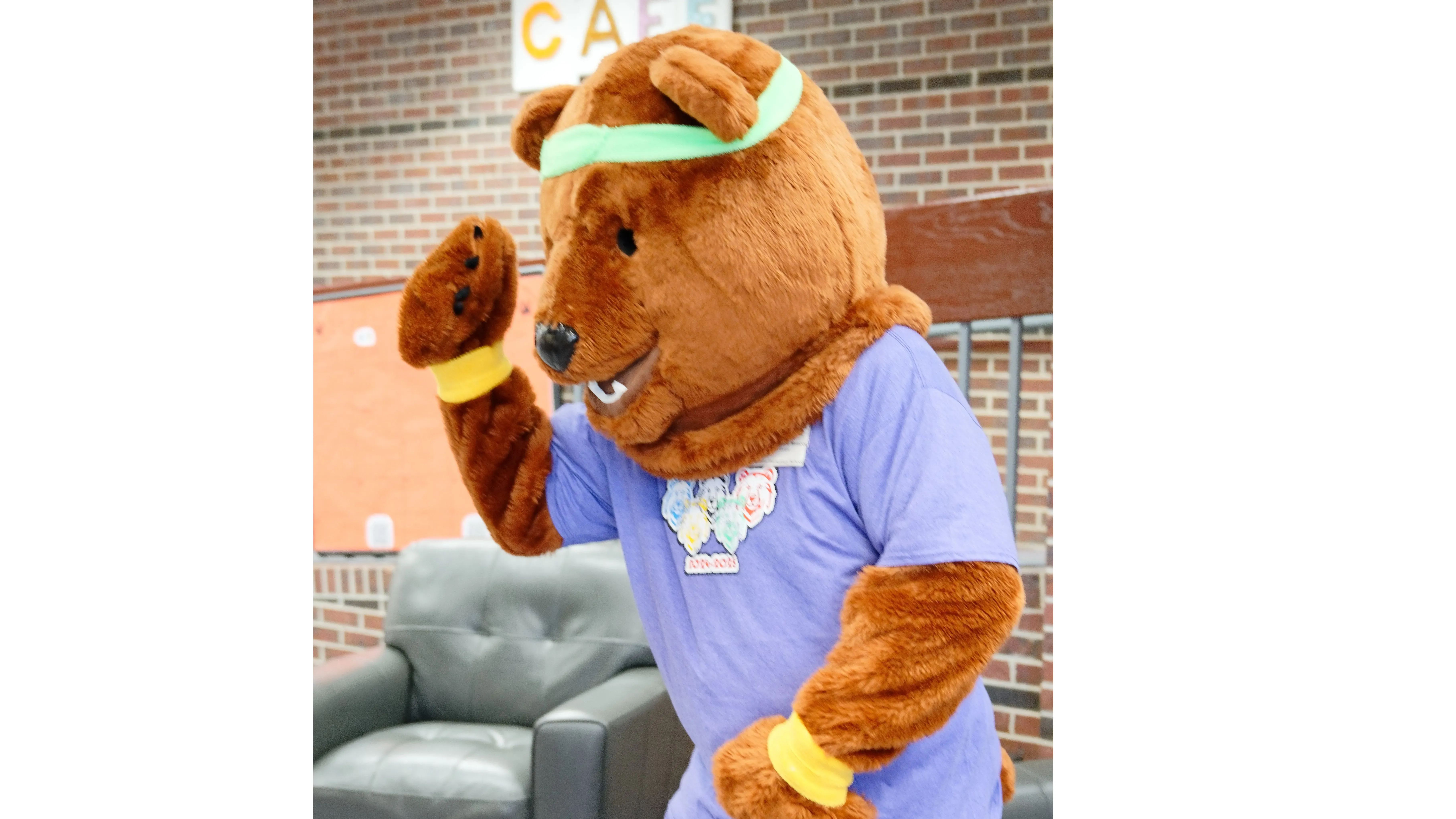 Ollie Mascot Sign Up banner