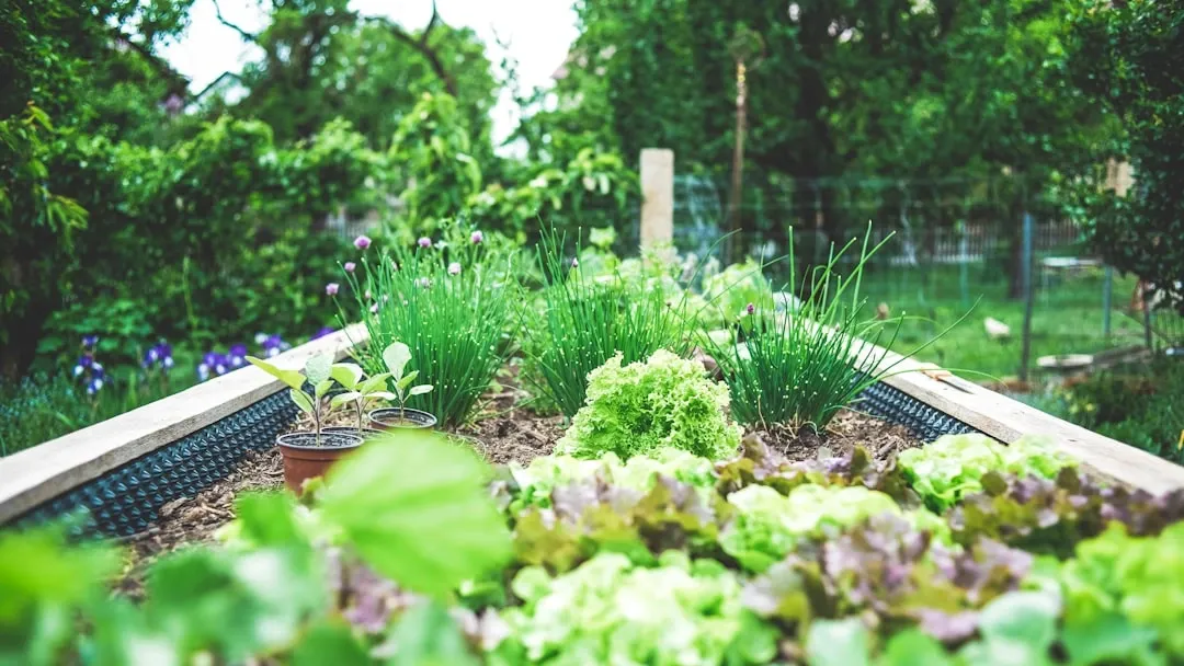 Spring Garden Inspiration Open House - April 23, 2025 banner