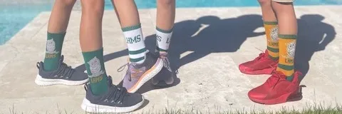 LHMS Spirit Socks banner
