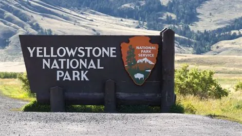 Yellowstone Adventure! banner