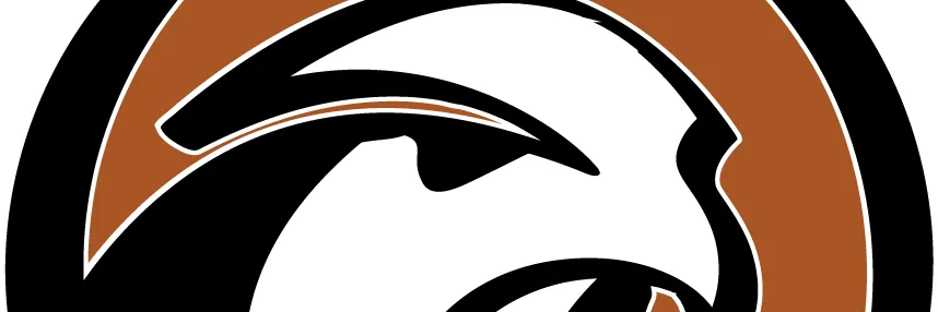 Falcon Sports Hub 2024-25   banner