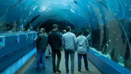 Newport Aquarium - March '26 banner