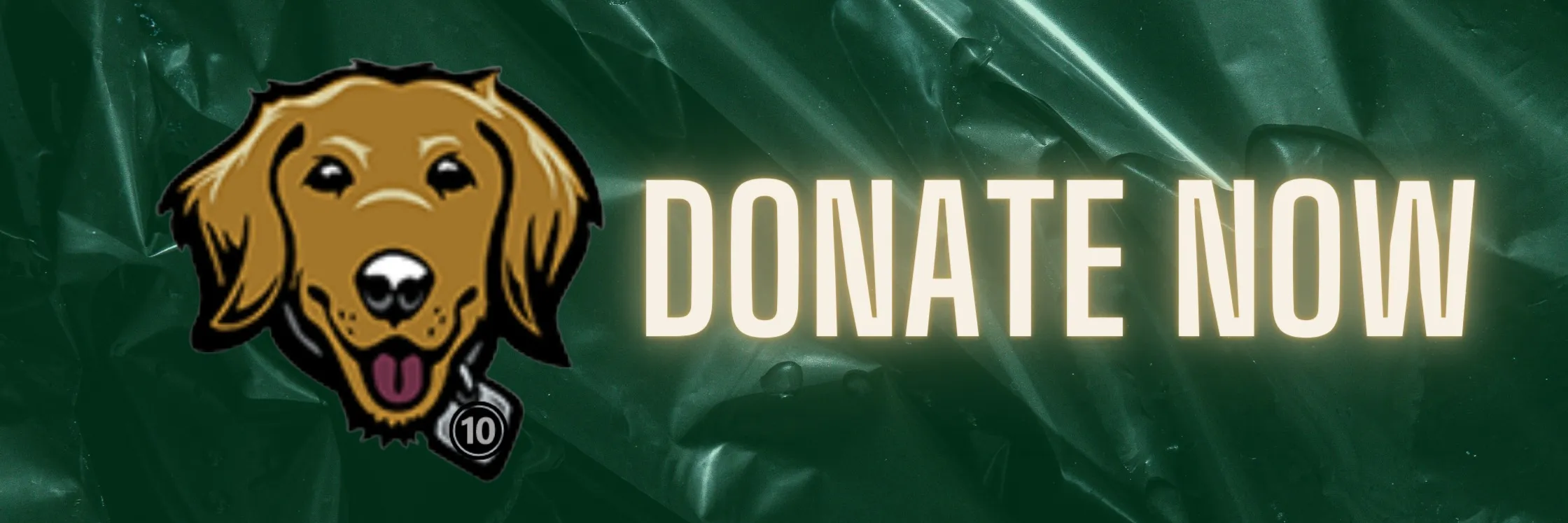 2024-2025 Sponsors and Donors  banner