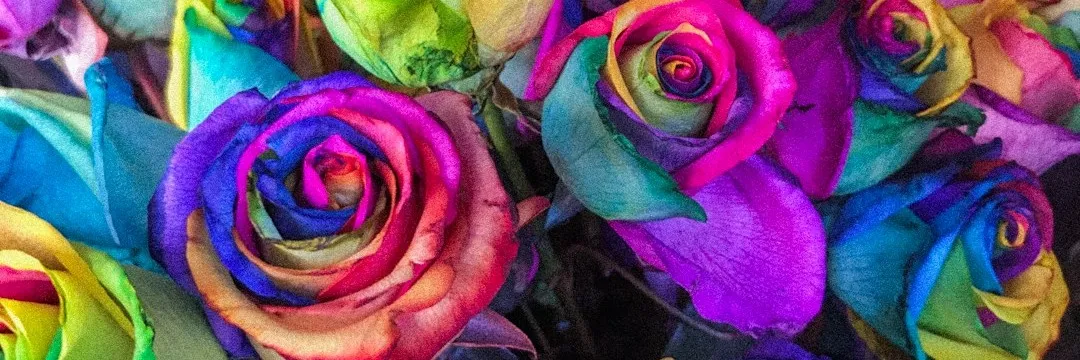 Crayola Flowers banner