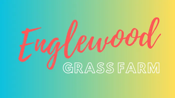 Englewood Festival Camping 9/27-9/29/24 banner