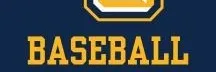 2024-25 LCHS Baseball banner