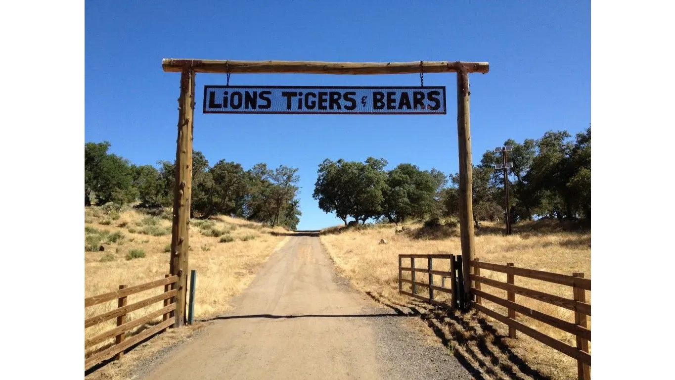 2024-25 LFCS 3rd Grade Lions Tigers and Bears banner