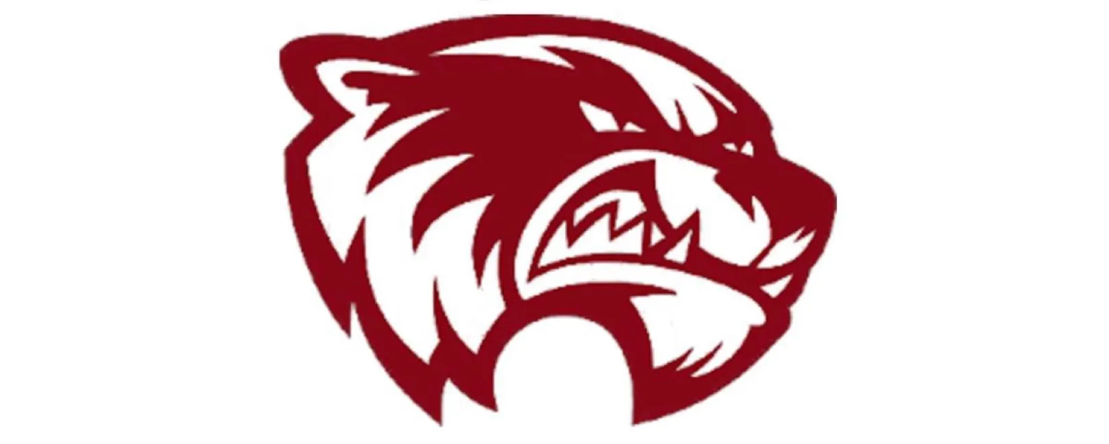 UGMS Spirit Wear banner