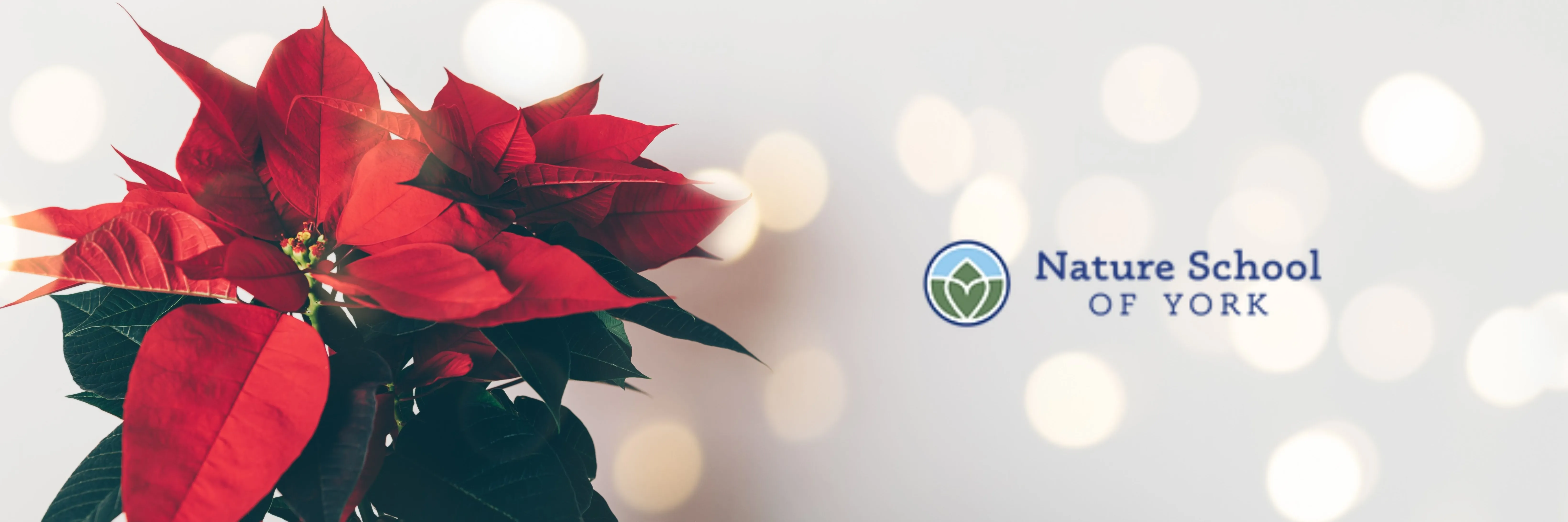 Nature School of York Poinsettia Sale banner