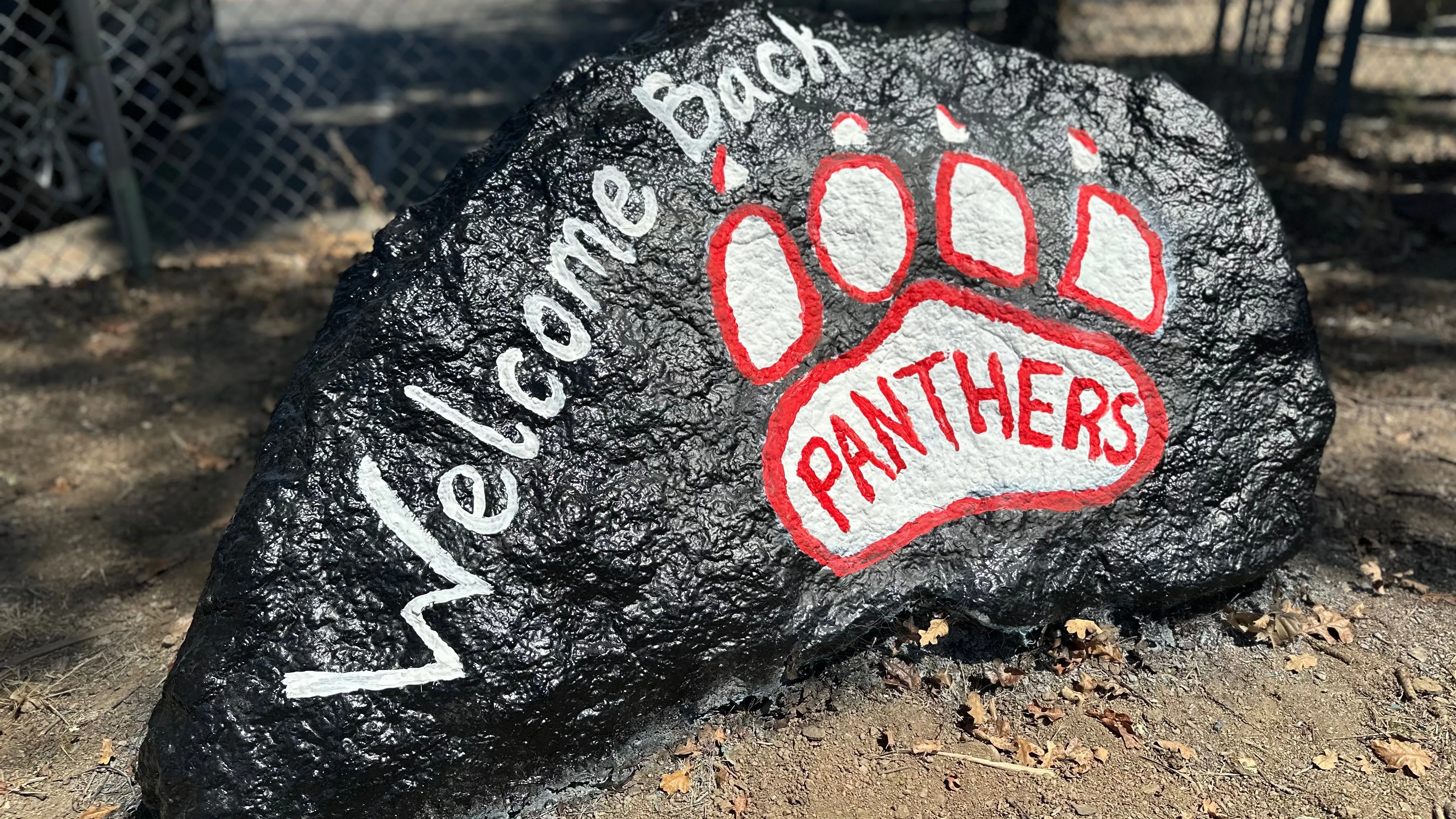 Rent the Rock - ENGLISH COLONY banner