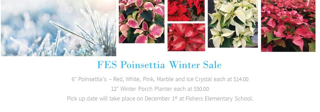 FES Poinsettia Winter Sale